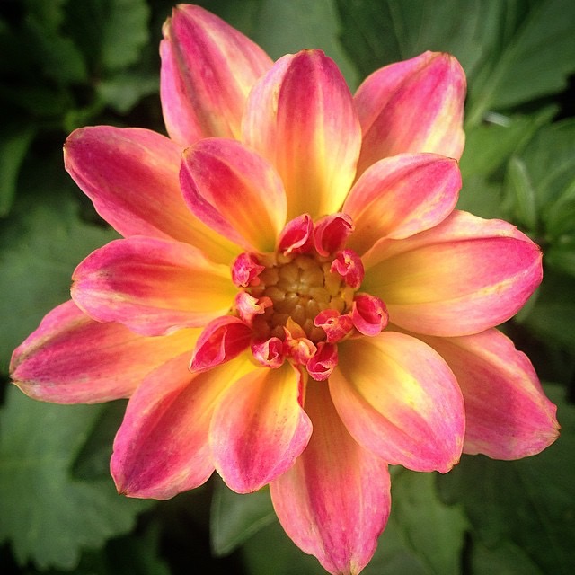 My Image 32